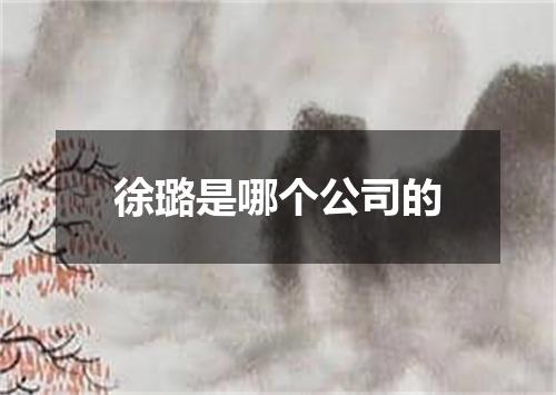 徐璐是哪个公司的