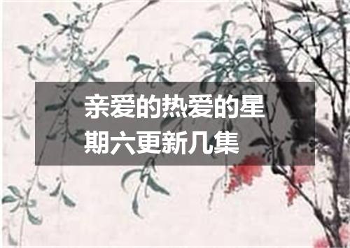 亲爱的热爱的星期六更新几集