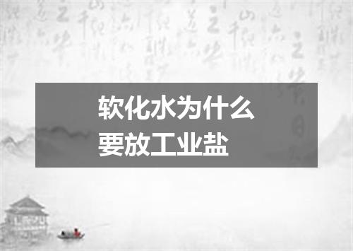 软化水为什么要放工业盐