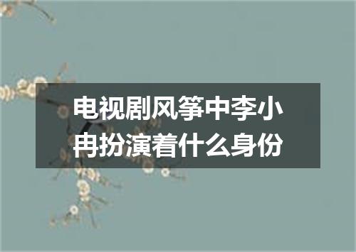 电视剧风筝中李小冉扮演着什么身份