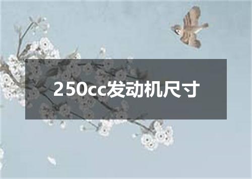 250cc发动机尺寸