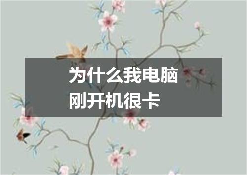 为什么我电脑刚开机很卡