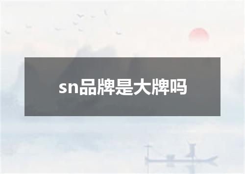 sn品牌是大牌吗