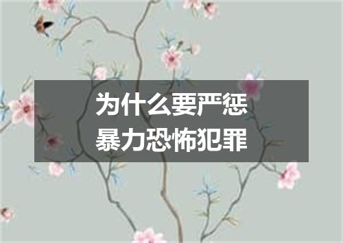 为什么要严惩暴力恐怖犯罪