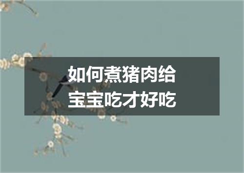 如何煮猪肉给宝宝吃才好吃