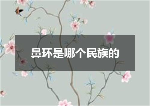 鼻环是哪个民族的