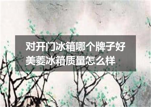 对开门冰箱哪个牌子好美菱冰箱质量怎么样