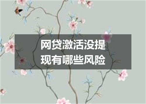 网贷激活没提现有哪些风险