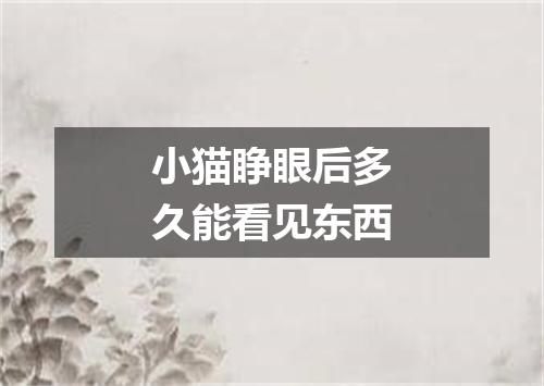 小猫睁眼后多久能看见东西