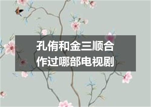 孔侑和金三顺合作过哪部电视剧