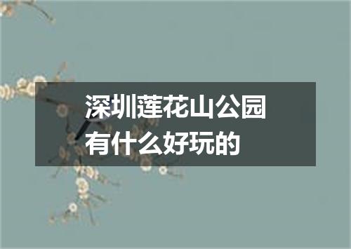 深圳莲花山公园有什么好玩的