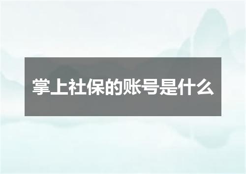 掌上社保的账号是什么