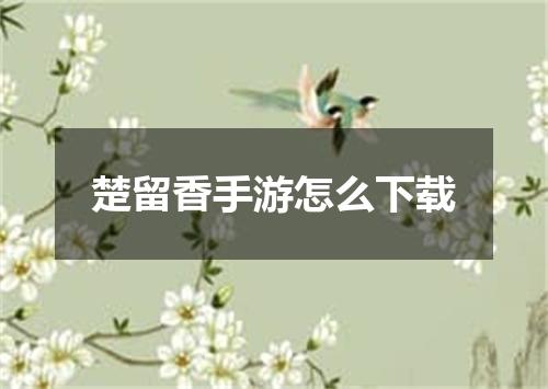 楚留香手游怎么下载