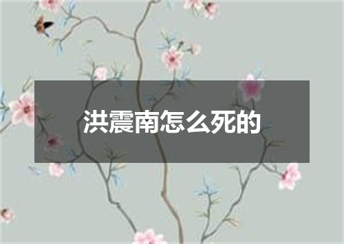洪震南怎么死的