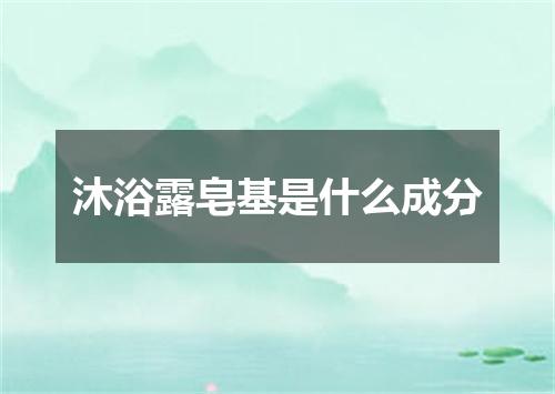 沐浴露皂基是什么成分