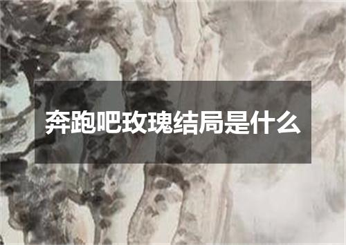 奔跑吧玫瑰结局是什么