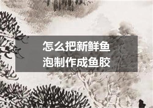 怎么把新鲜鱼泡制作成鱼胶