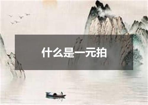 什么是一元拍