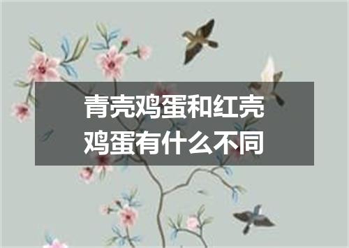 青壳鸡蛋和红壳鸡蛋有什么不同