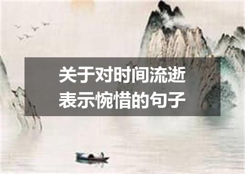 关于对时间流逝表示惋惜的句子