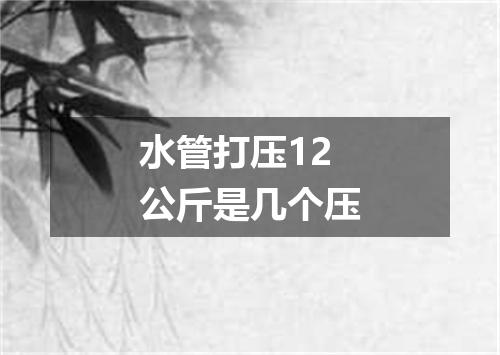 水管打压12公斤是几个压