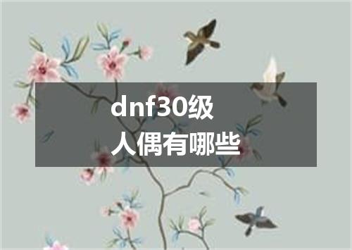 dnf30级人偶有哪些