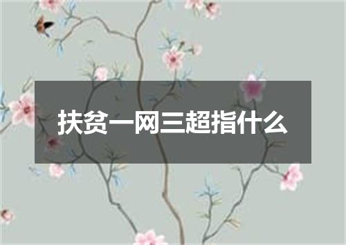 扶贫一网三超指什么