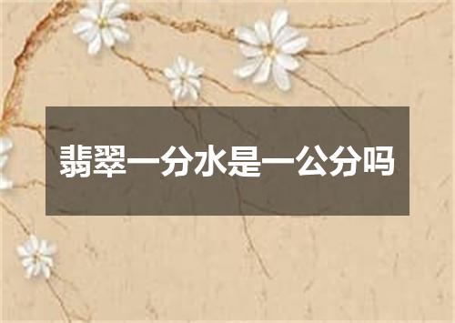 翡翠一分水是一公分吗