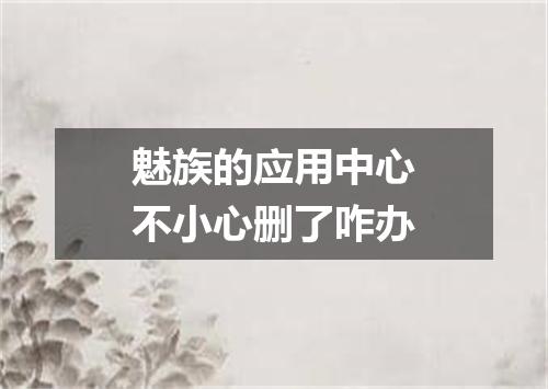 魅族的应用中心不小心删了咋办