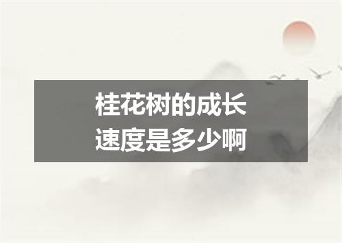 桂花树的成长速度是多少啊