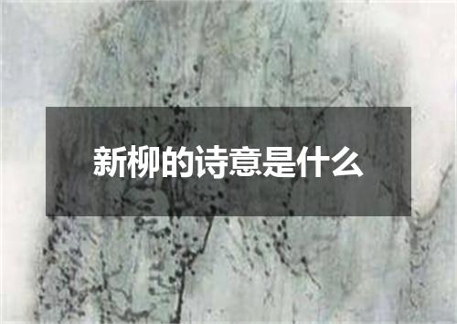 新柳的诗意是什么