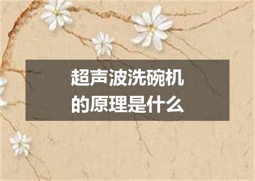 超声波洗碗机的原理是什么