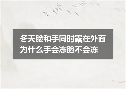 冬天脸和手同时露在外面为什么手会冻脸不会冻