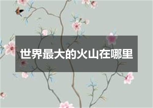 世界最大的火山在哪里