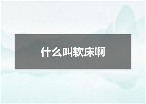 什么叫软床啊