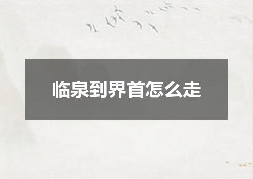 临泉到界首怎么走