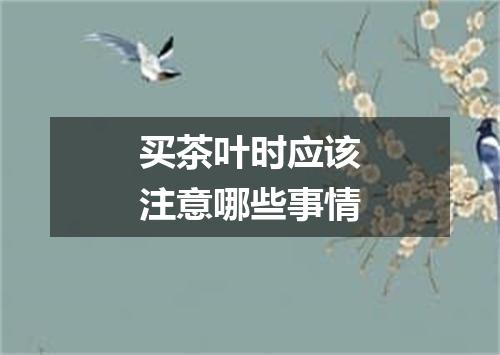 买茶叶时应该注意哪些事情