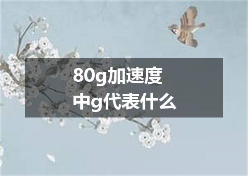 80g加速度中g代表什么