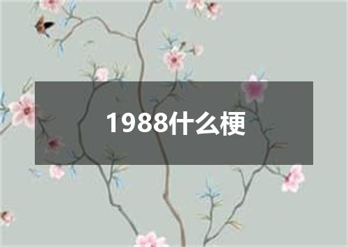 1988什么梗