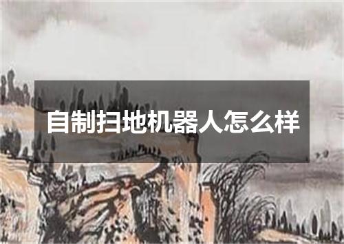 自制扫地机器人怎么样