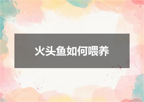 火头鱼如何喂养
