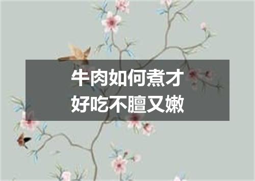 牛肉如何煮才好吃不膻又嫩