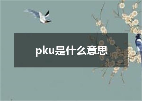 pku是什么意思