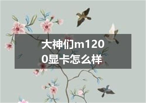 大神们m1200显卡怎么样