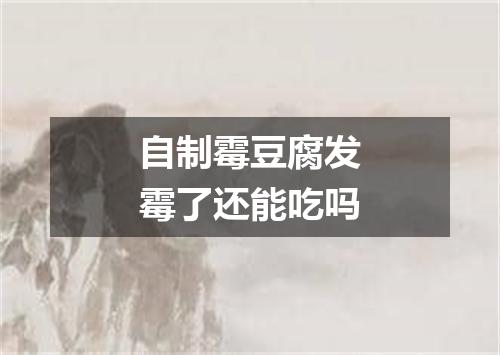 自制霉豆腐发霉了还能吃吗