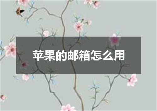 苹果的邮箱怎么用