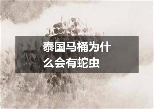 泰国马桶为什么会有蛇虫