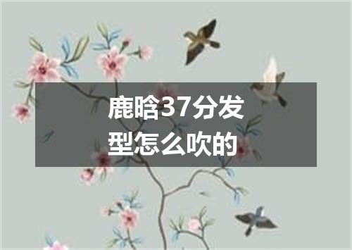 鹿晗37分发型怎么吹的