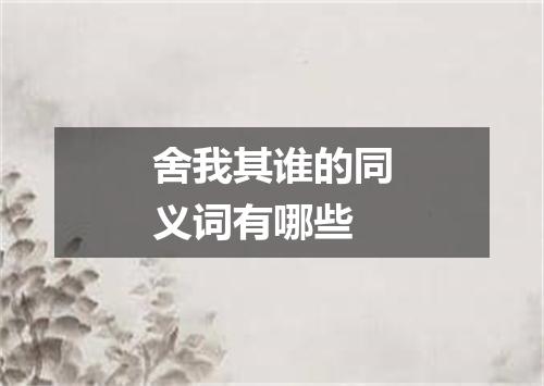 舍我其谁的同义词有哪些