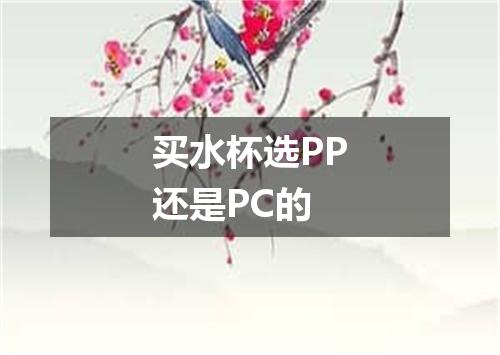 买水杯选PP还是PC的